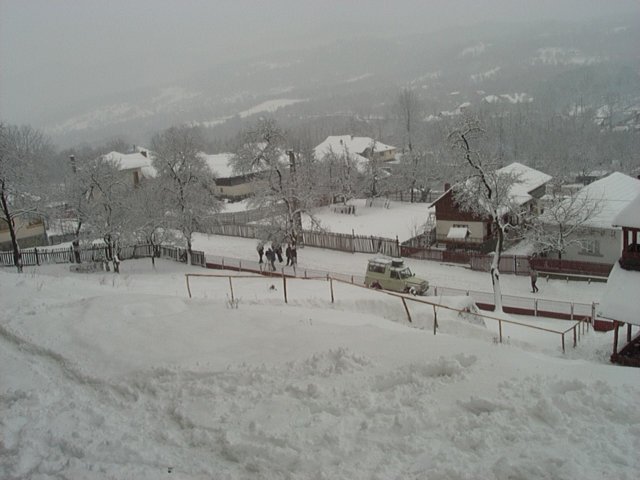 iarnapeulita.jpg