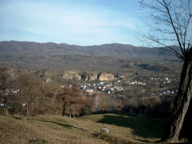 vederenv.jpg