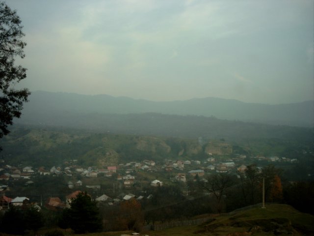 vederes.jpg