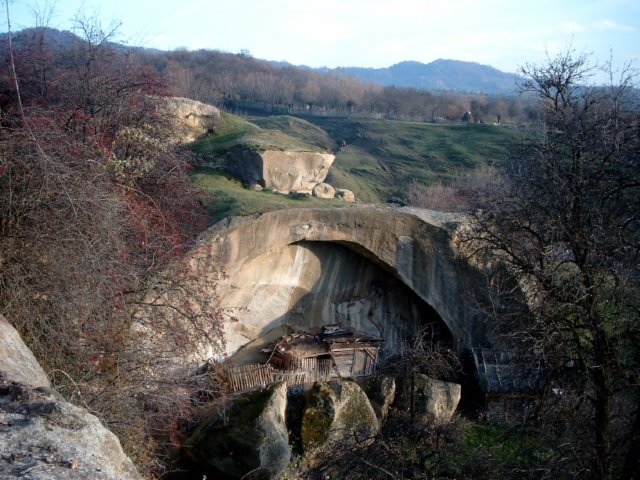 caonucadinpovesticusamburiisemanatipretutindeni.jpg